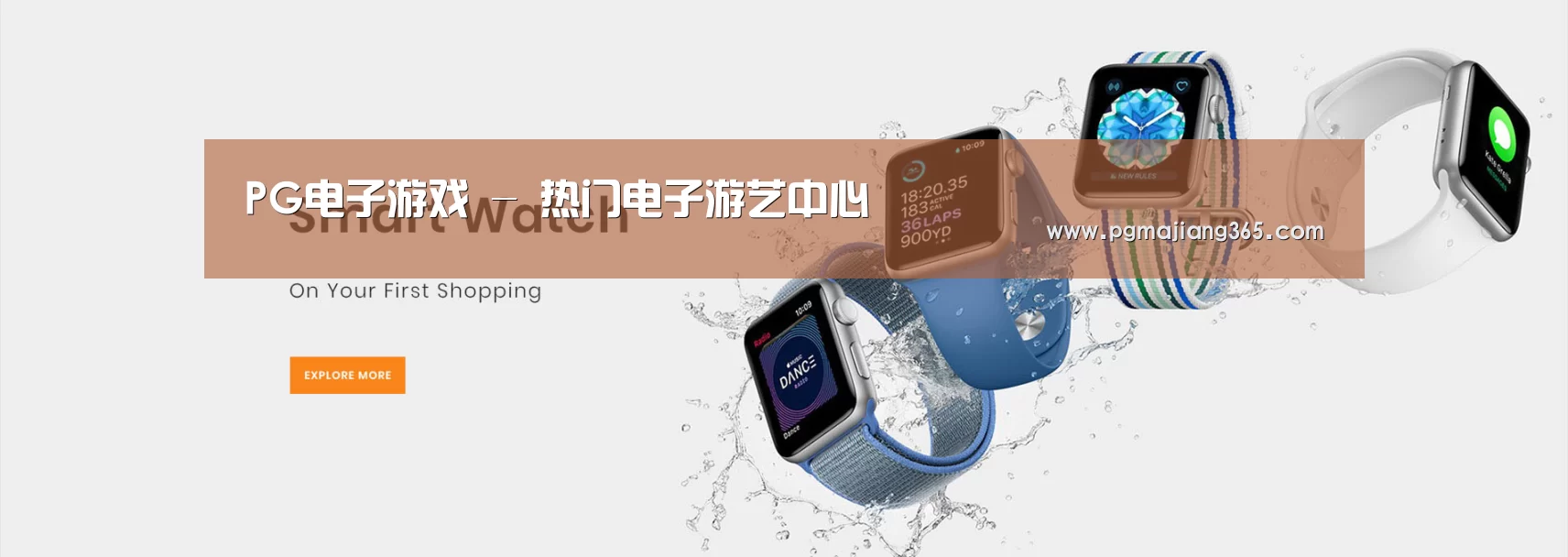 某某网络科技有限公司