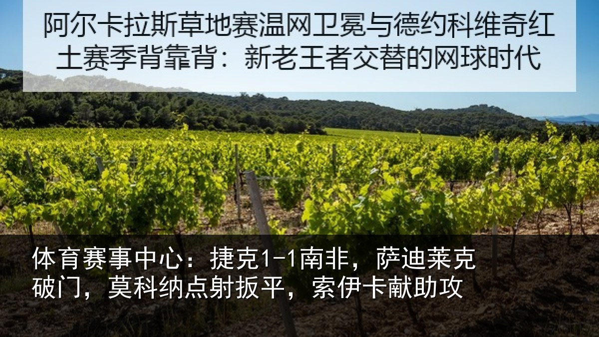 体育赛事中心：捷克1-1南非，萨迪莱克破门，莫科纳点射扳平，索伊卡献助攻